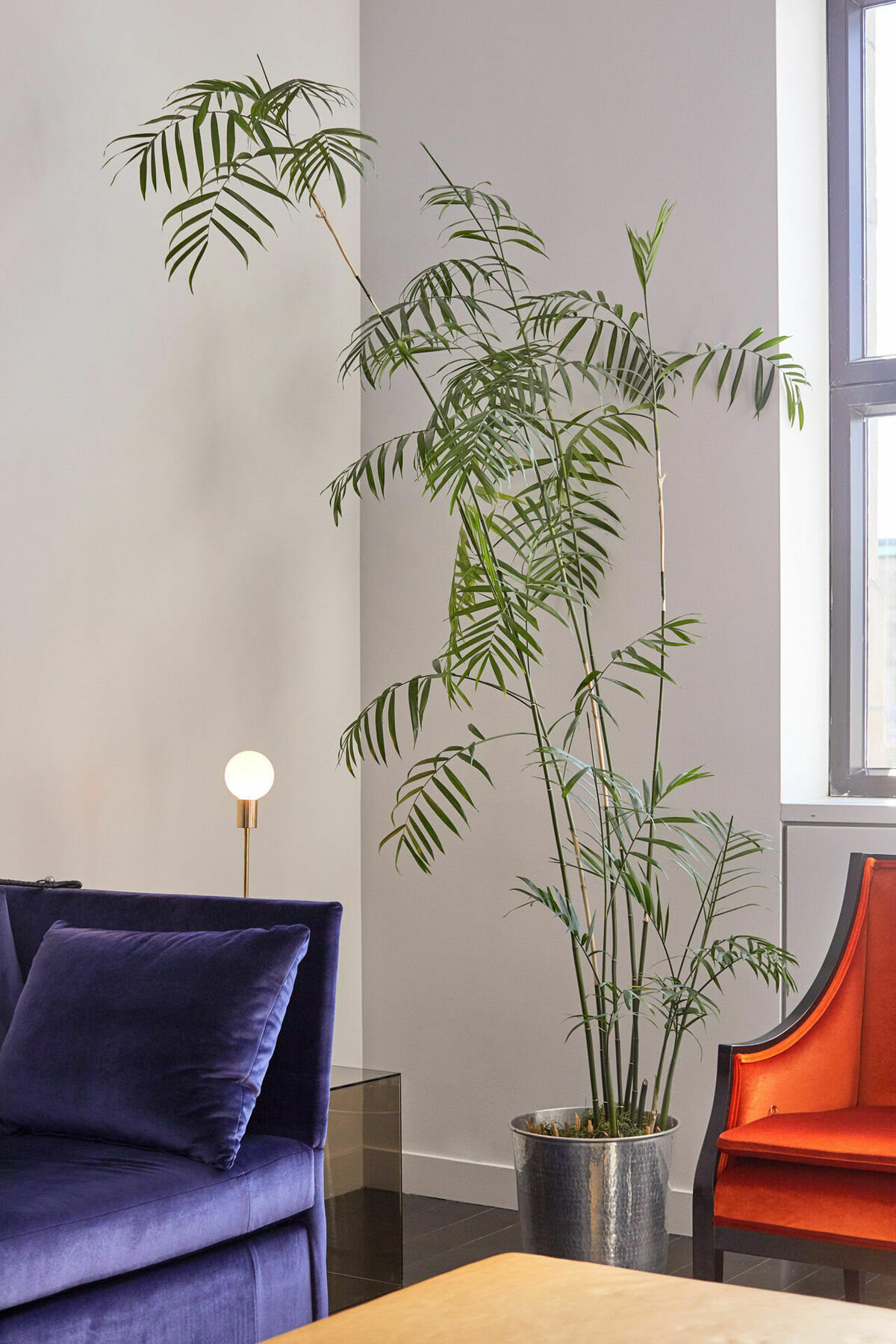 Hotel St Paul, Montreal, A Member Of Design Hotels Interior photo
